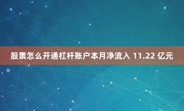 股票怎么开通杠杆账户本月净流入 11.22 亿元